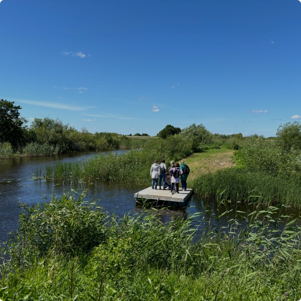 Piirissaare avastamine